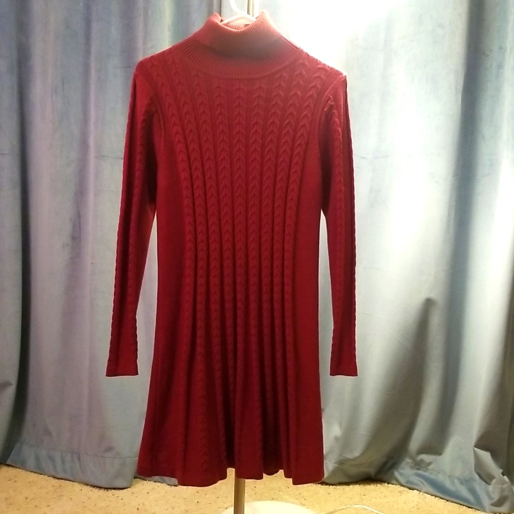 Red/Maroon Tuttleneck Sweater Dress Fit and Flare